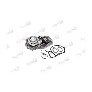 DB01.0038 TIGRIL