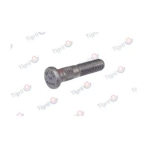 RO24.0001 TIGRIL
