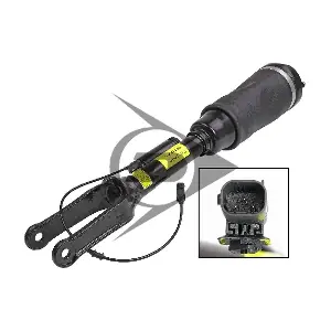 71223 Dunlop Airsuspension