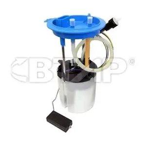 BVE207-003 BTAP