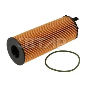 BVE101-021 BTAP