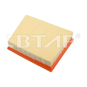 BDE301-066 BTAP