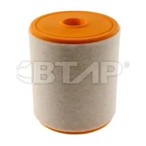 BVE301-006 BTAP