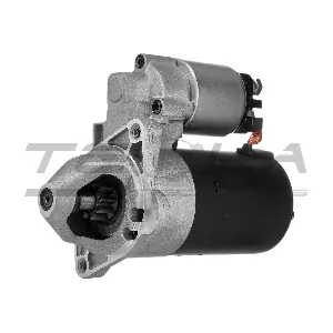 TT15290 TESLA TECHNICS