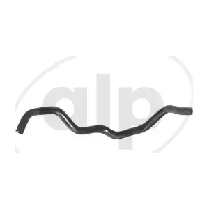 ALP-003848 alp
