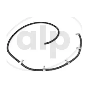 ALP-006612 alp