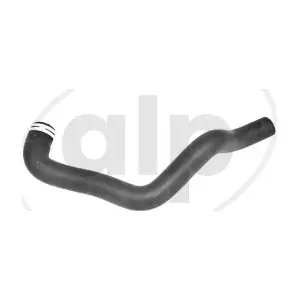ALP-007573 alp