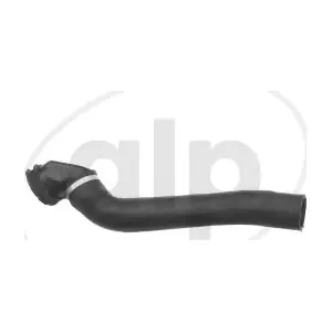 ALP-007584 alp
