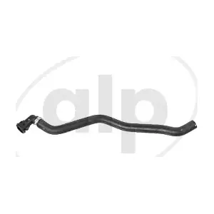 ALP-004360 alp