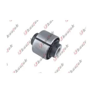 HY-BS202 KAUTEK