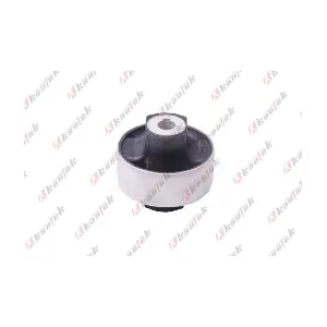FI-BS025 KAUTEK