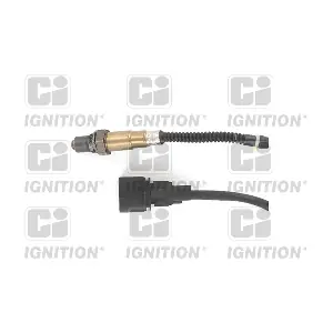 XLOS1752 QUINTON HAZELL