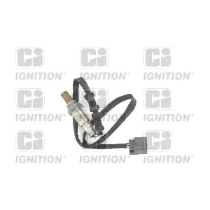 XLOS1560 QUINTON HAZELL