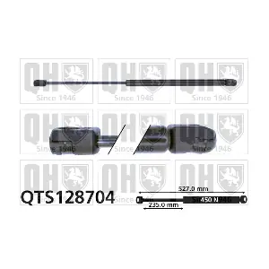 QTS128704 QUINTON HAZELL