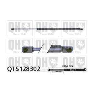 QTS128302 QUINTON HAZELL