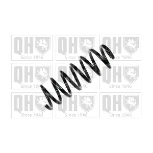 QCS6406 QUINTON HAZELL