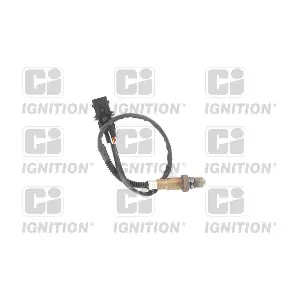 XLOS1750 QUINTON HAZELL
