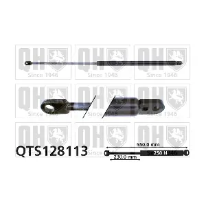 QTS128113 QUINTON HAZELL