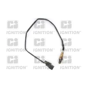 XLOS1759 QUINTON HAZELL