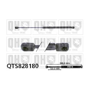 QTS828180 QUINTON HAZELL
