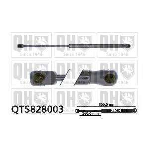 QTS828003 QUINTON HAZELL
