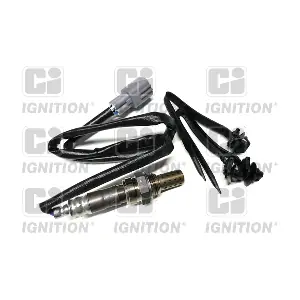 XLOS1608 QUINTON HAZELL