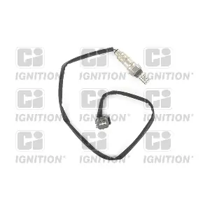 XLOS1650 QUINTON HAZELL