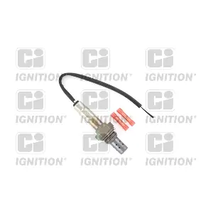 XLOS102 QUINTON HAZELL