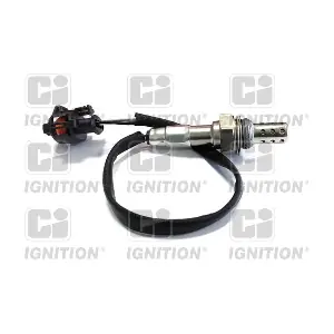 XLOS1714 QUINTON HAZELL