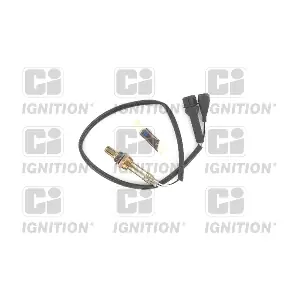 XLOS1732 QUINTON HAZELL
