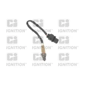 XLOS1813 QUINTON HAZELL