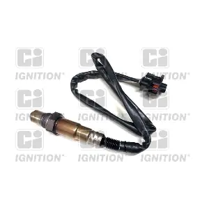 XLOS1736 QUINTON HAZELL