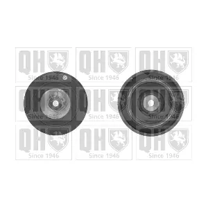QCD35 QUINTON HAZELL
