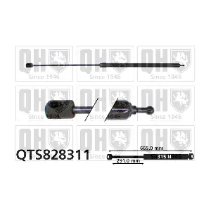 QTS828311 QUINTON HAZELL