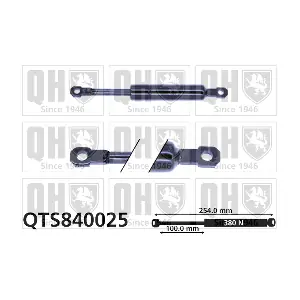 QTS840025 QUINTON HAZELL