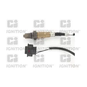 XLOS1565 QUINTON HAZELL
