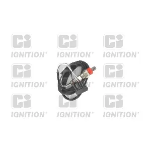 XLOS1015 QUINTON HAZELL