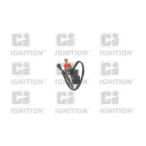 XLOS1362 QUINTON HAZELL