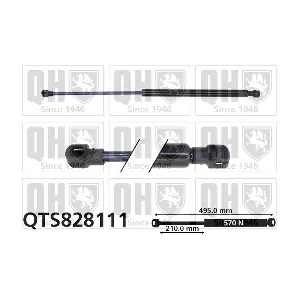 QTS828111 QUINTON HAZELL