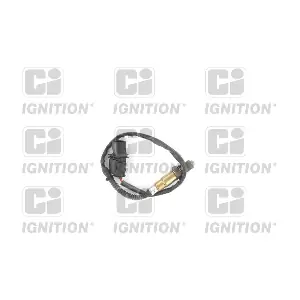 XLOS1794 QUINTON HAZELL
