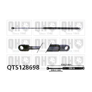 QTS128698 QUINTON HAZELL