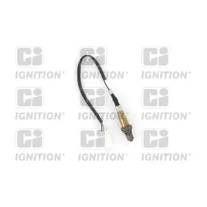 XLOS1536 QUINTON HAZELL