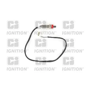 XLOS1091 QUINTON HAZELL