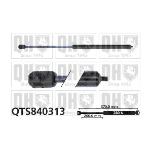 QTS840313 QUINTON HAZELL
