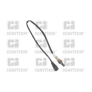 XLOS1546 QUINTON HAZELL