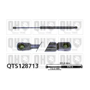 QTS128713 QUINTON HAZELL