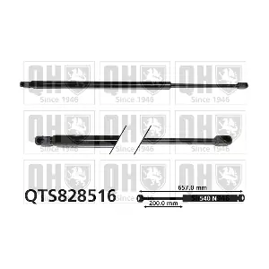 QTS828516 QUINTON HAZELL