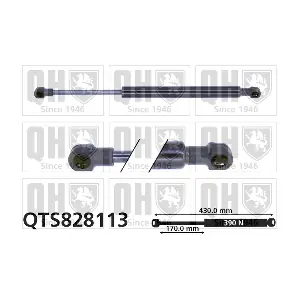 QTS828113 QUINTON HAZELL