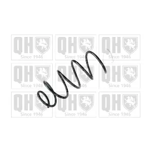 QCS6658 QUINTON HAZELL