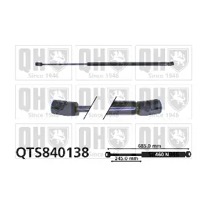 QTS840138 QUINTON HAZELL